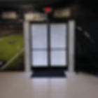 Las Vegas Raiders