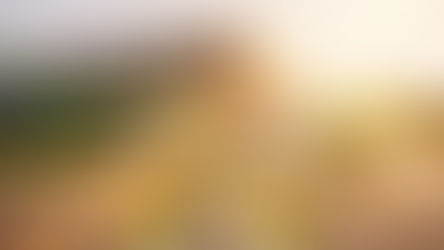 Samen op één locatie in Simpelveld