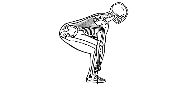 Correct Deadlift Setup