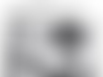 The American Activist “Kissed by the Sun “(excerpt )authored by : Eric Russell