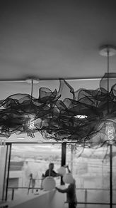 IMG_20260407_160626~3.jpg