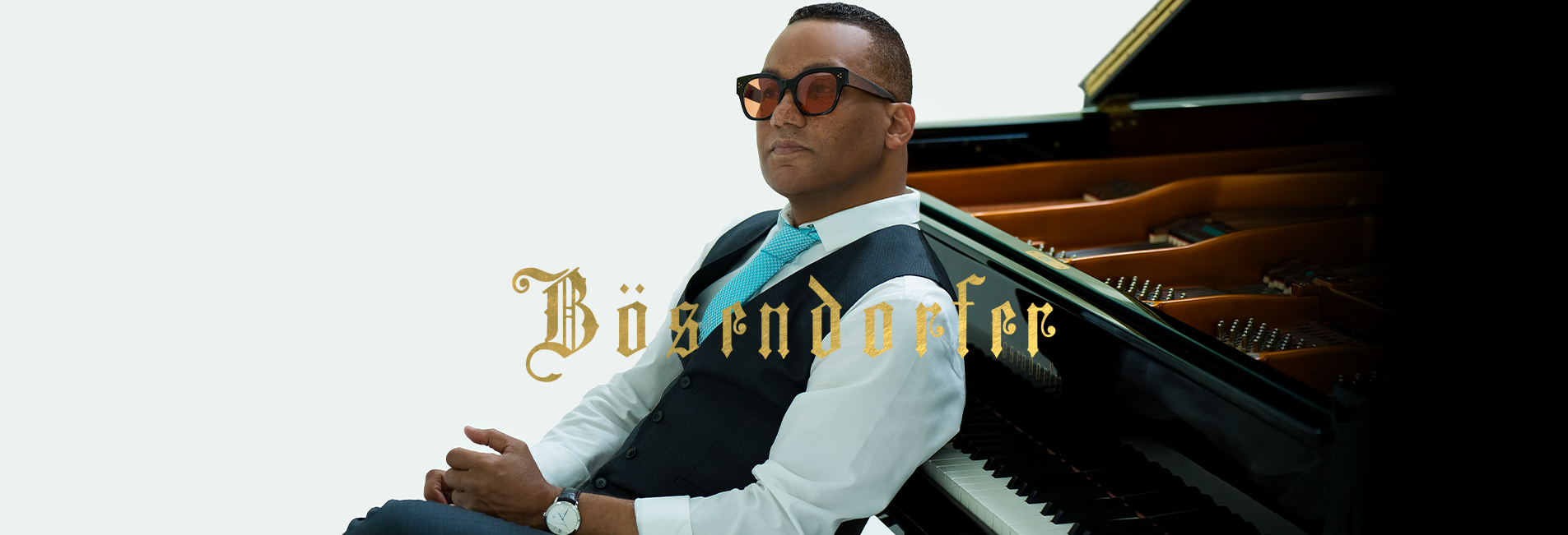 BÖSENDORFER PAGE BANNER.png