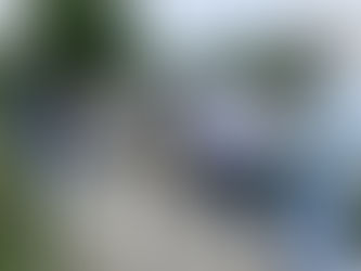 Impulsan mejoras en cultivos de Morelos