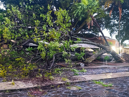 Nuevas afectaciones por lluvias en Cuernavaca y Jiutepec