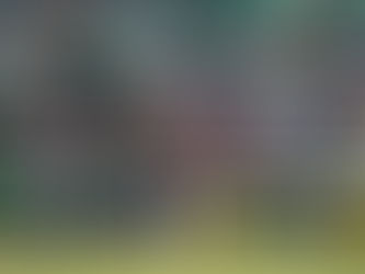 Morelos cayéndose a pedazos, mientras el Cuauh echando cascarita con sus cuates del América