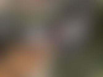 Esposa de José Luis Urióstegui será intervenida tras caída de puente colgante en Cuernavaca