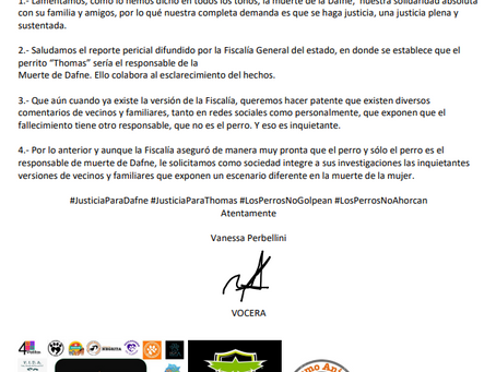 "Perrito Tomas es inocente", aseguran defensores de los derechos de animales