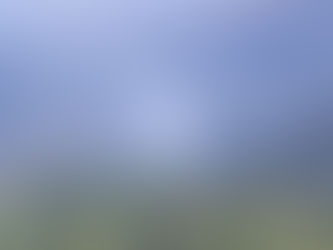 Dan corte sobre incendios forestales activos en Morelos