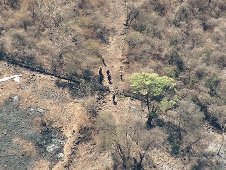 Detienen en flagrancia a presunto responsable de provocar incendio en zona forestal de Tepoztlán