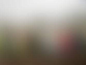 Impulsa Gobierno de Morelos Modelo Agroecológico en Huitzilac