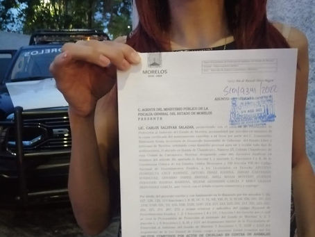 Denuncian a 2 jóvenes por aventar gatitos al aire en Tetecala