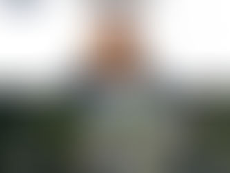 Aprehende FIDAI a mujer en puente internacional en Tamaulipas