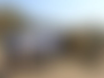 Ya puedes dejar tu arbolito de Navidad en los diferentes centros de acopio en Morelos