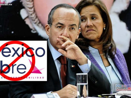 "México Libre" no será partido: le niega el registro el TEPJF