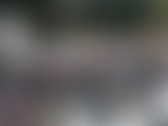 Lideresa de Patios de la Estación cobijada por regidora de Urióstegui para cometer fraude