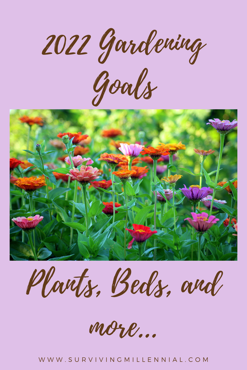 2022 Gardening Goals. Plants, beds, and more. A pale pink background with a photo of poppies in the centre.