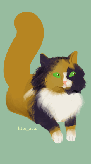 Fluffy Calico
