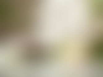 Huile de coco pour les cheveux : bienfaits et comment l'utiliser