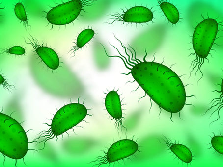 Allergie aux acariens : le guide complet pour comprendre et agir