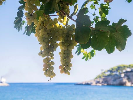 Nettoyage de Canapé à Bandol