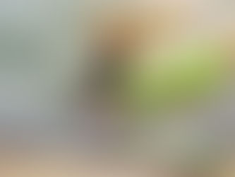 Entretien des plaques à induction : méthodes naturelles pour une brillance sans rayures