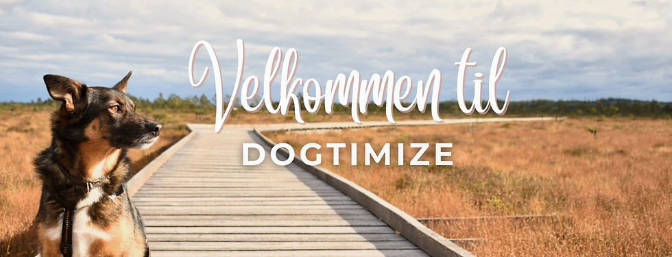 Velkommen til(3)_edited.jpg