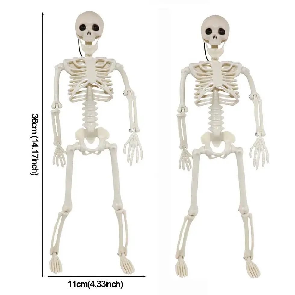 Thumbnail: 1/2pcs Halloween Skull Bat Skeleton Human Shape Bones Home Garden Decoration