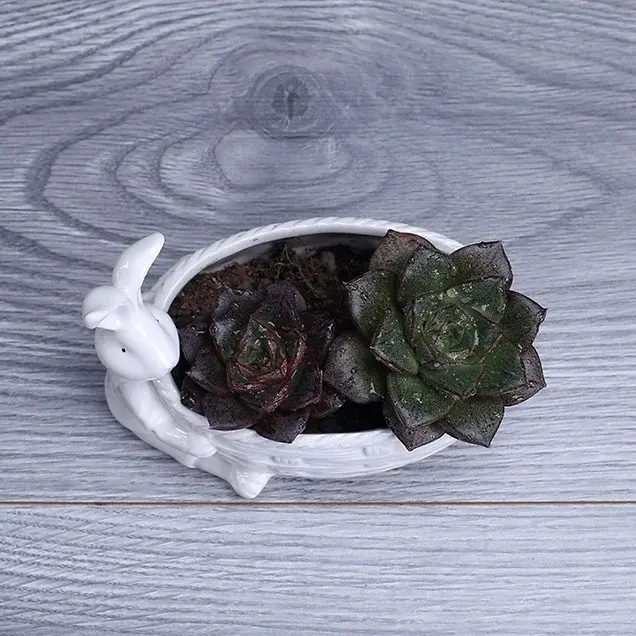 Thumbnail: Porcelain Bunny Figurine Succulent Plant Pot