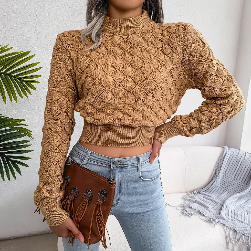 Thumbnail: Casual Hollow Out Long Sleeve Knitted Crop Top Pullovers