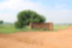 Farm