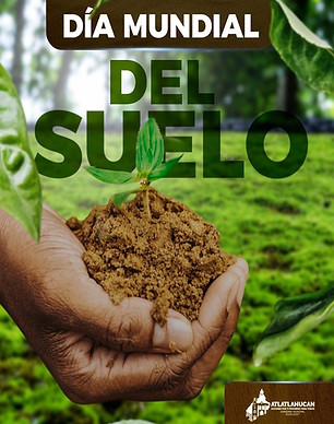 DIAMUNDIAL DEL SUELO.jpg