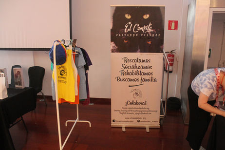 Salesroom Madrid Fashion Doll Show MFDS 2022 El Campito organización charity rescate de animales animal safety