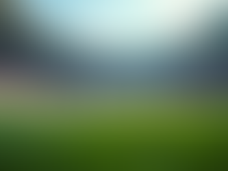 Fact-Checked Insights on Sporting Events from Bob Flynn