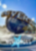 Miniatura: ed 25 - Digital Orlando Wish