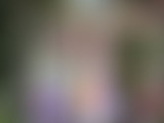 Páscoa no Walt Disney World 2026: tudo o que você precisa saber