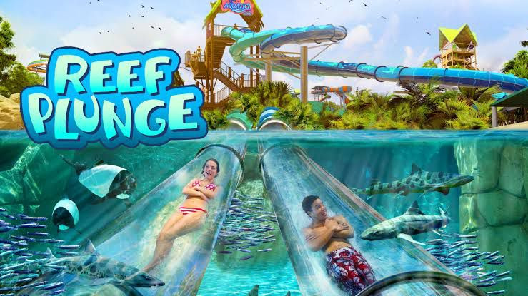Reef Plunge, a nova atração do Aquatica, parque aquático do SeaWorld.