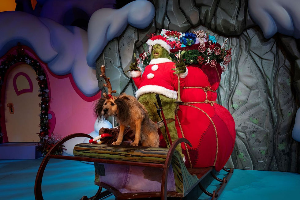 Grinch, em Seuss Landing.