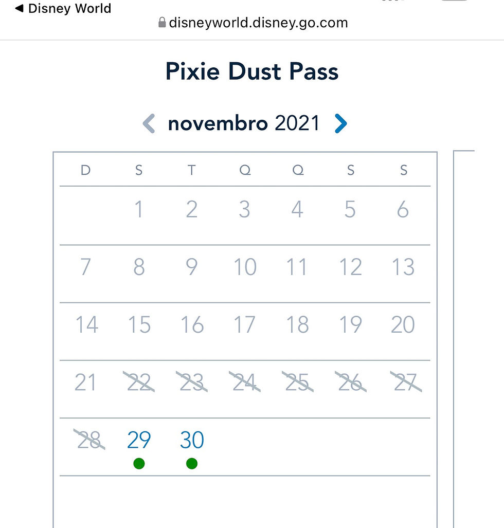 passe anual disney