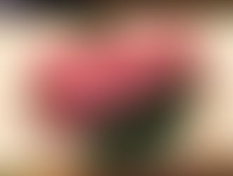 好きなこと