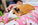 最近の癒し