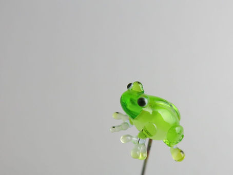 6月の出店予定(なし)