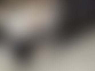 12月の出店予定(なし)