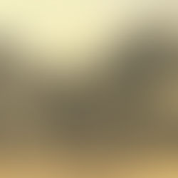 Trafikk og miljø på Kampen