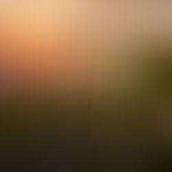 Energy Retailer Company Eliminated ERP Fragmentation to Gain Full Commercial Performance Control