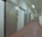 Freezer Doors