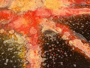 Ein Blick ins Detail lohnt sich…