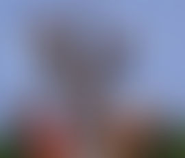 J'ai voulu revoir...
“On connaît la chanson” d’Alain Resnais
