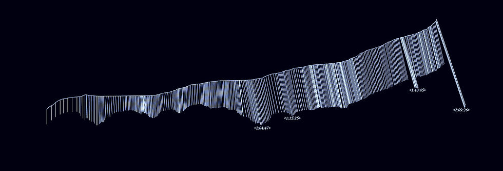 wunderkammer_diagram 1 figure 9_edited_edited.jpg