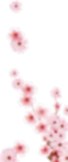 transparent blossoms 2.png
