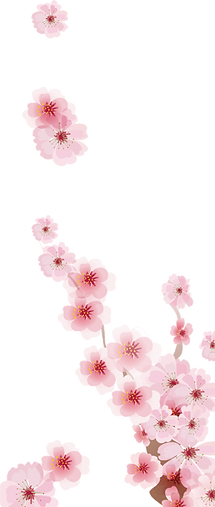transparent blossoms 2.png